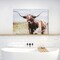 20"x28" Texas Longhorn Cattle Pictures Wall Decor Canvas Wall Art 3 Piece Framed Wall Art